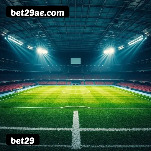 Imagem secundária de apoio para instalação do app bet29